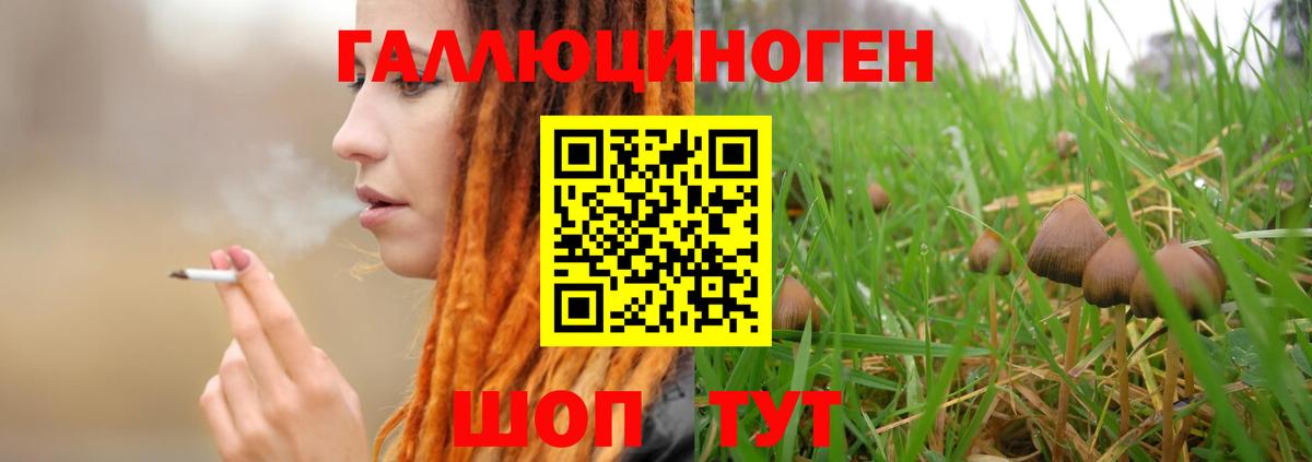 Псилоцибиновые грибы мицелий Бор